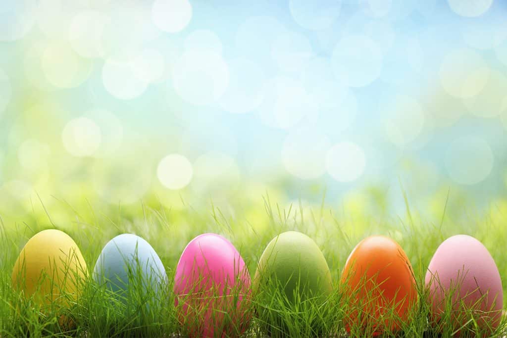 Gather Natural’s First Annual Dye-Free Easter Egg Hunt